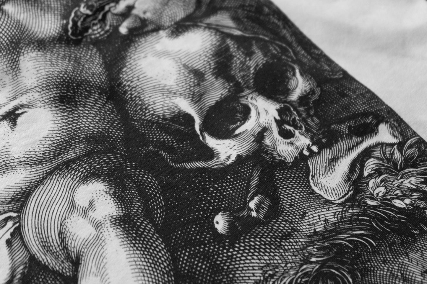 T-Shirt Weiß "Hendrick Goltzius - Quis evadet?"